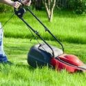 Yards & Lawns