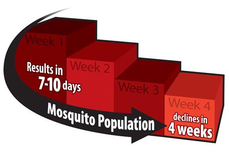 See a Sharp Drop in Mosquitos