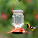 Oriole Feeders