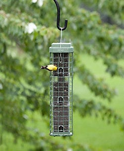 Perky-Pet<sup>®</sup> Evenseed™ Squirrel Dilemma