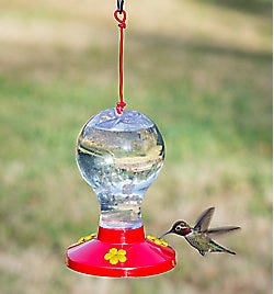 Perky-Pet Globe Hummingbird Feeder