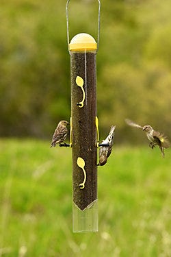 Perky-Pet<sup>®</sup> All-In-One Finch Feeder