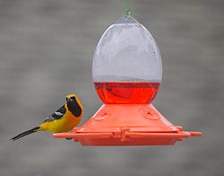 Perky-Pet<sup>®</sup> Oriole Feeder