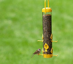 Perky-Pet<sup>®</sup> Classic Finch Feeder