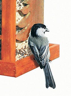 Perky-Pet<sup>®</sup> Pinery Wild Bird Feeder