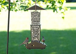 Perky-Pet Fortress Squirrel Proof Bird Feeder