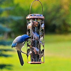 Perky-Pet<sup>®</sup> Copper Garden Feeder