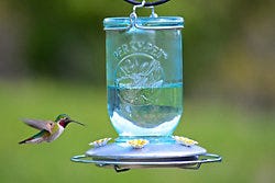 Perky-Pet Mason Jar Wild Hummingbird Feeder