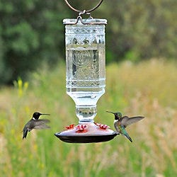 Perky-Pet<sup>®</sup> Clear Antique Bottle, Glass Hummingbird Feeder