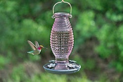 Perky-Pet Cranberry Hobnail Vintage Hummingbird Feeder