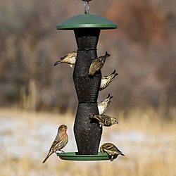 Perky-Pet Green & Black Finch Tube Feeder