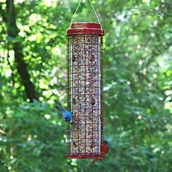 Perky-Pet® Squirrel Resistant Easy Feeder