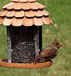 Perky-Pet Gazebo Wood Feeder