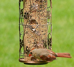 Birdscapes<sup>®</sup> Copper Meadow Feeder