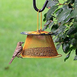 Perky-Pet<sup>®</sup> Designer Single Tier Wild Bird Feeder