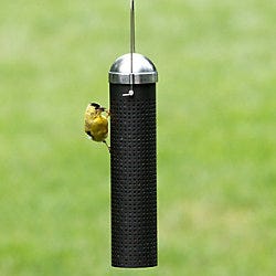 Perky-Pet 10 Inch Metal Finch Feeder