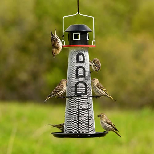 Perky-Pet Solar Lighthouse Finch Feeder