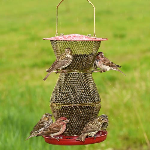 Perky-Pet 3 Tier Standard Red & Brass Wild Bird Feeder