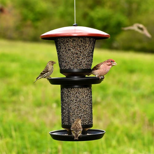 Perky-Pet<sup>®</sup> Multi-Seed Wild Bird Feeder