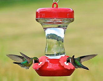 130TF Hummingbird Feeder