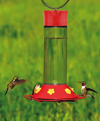 Multiple Perches & Ports