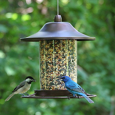 Perky-Pet® Panorama Wild Bird Feeder