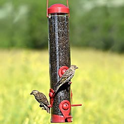 Perky-Pet Red 2-in-1 Tube Bird Feeder