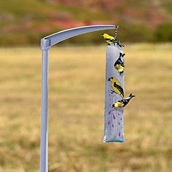 Perky Pet Thistle Sack Finch Feeder