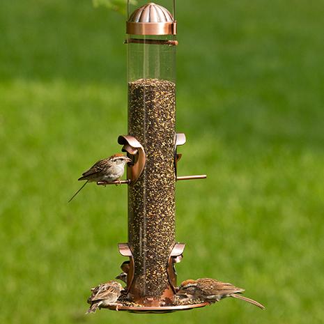 Four Feeding Stations