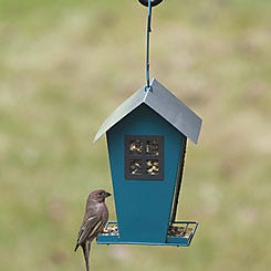 Perky-Pet Aqua Seed Duo Wild Bird Feeder