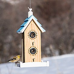 Perky-Pet Birdie B&B Wood Bird Feeder