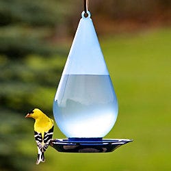 Droplet Bird Waterer