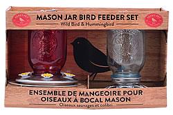 Perky-Pet Mason Jar Wild Bird Seed Feeder