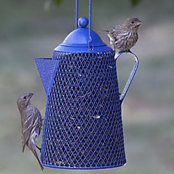 Perky-Pet Coffee Pot Wild Bird Feeder