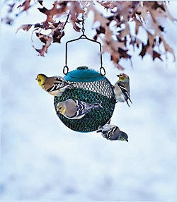 Perky-Pet<sup>®</sup> Green Seed Ball Wild Bird Feeder