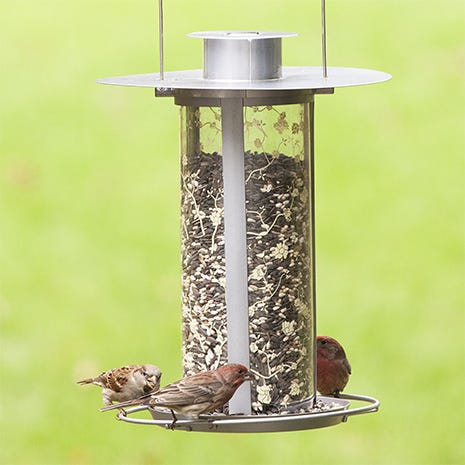 Perky-Pet<sup>®</sup> Solar Lantern Bird Feeder 