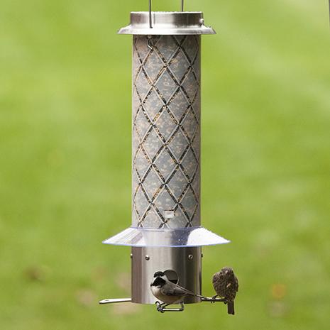 Accommodates Multiple Birds