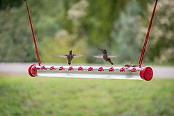 Perky-Pet Hummerbar Hummingbird Feeder - 2 ft