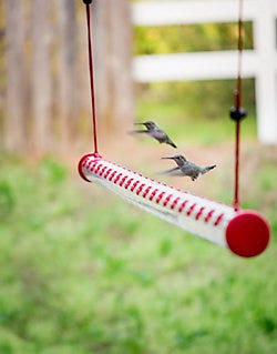 Perky-Pet 4 Foot Hummerbar Hummingbird Feeder