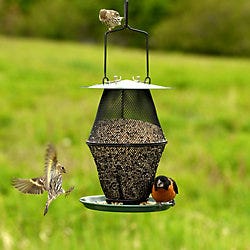 Perky-Pet Mixed Seed Lantern Bird Feeder