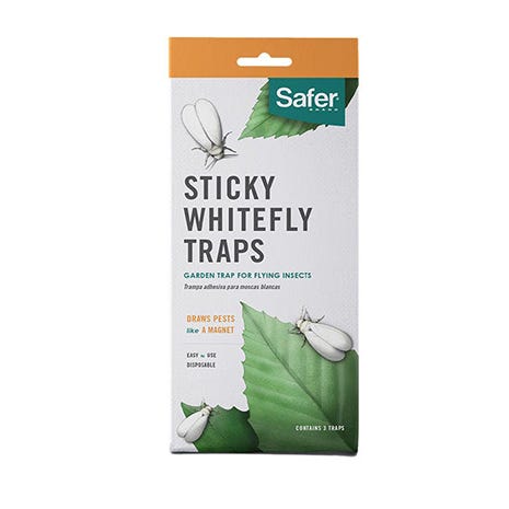 Safer Brand Sticky Whitefly Trap