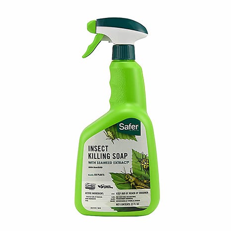 insect killing soap