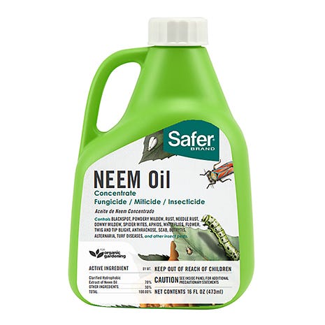 neem oil concentrate