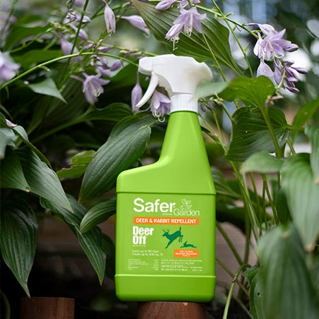 Long-Lasting Protection