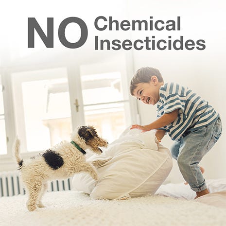 No Chemical Insecticides