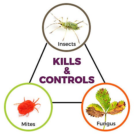 Kills and Controls Insects Mites Fungus