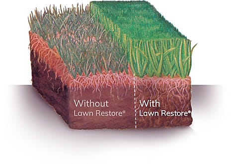 Lawn Restore promotes greener, healthier grass