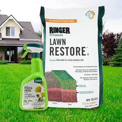 Lawn Maintenance