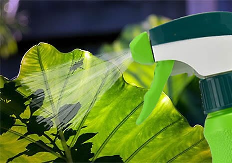 How to Use Garden Fungicide