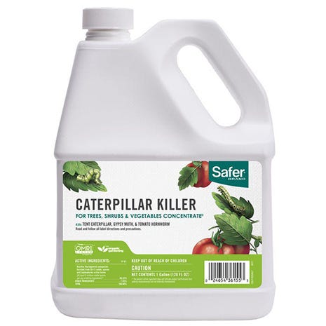 Safer Brand 5163 Caterpillar Killer II Concentrate, 16 oz